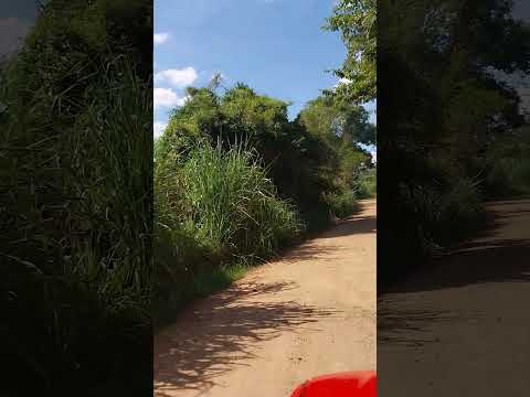 natureza perfeita rio barra grande norte do Paraná #caminhoparaumavidamelhor