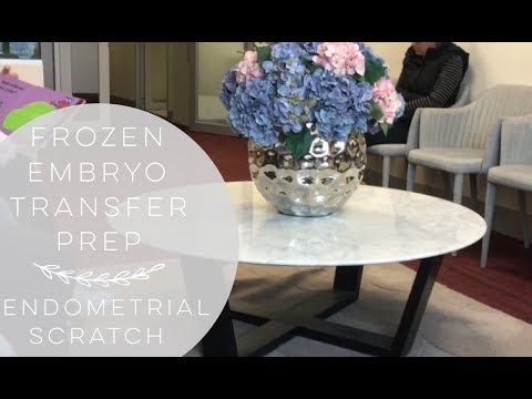 FROZEN EMBRYO TRANSFER PREP | FERTILITY SPECIALIST & ENDOMETRIAL SCRATCH Video