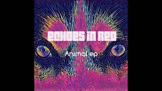 Echoes In Red - ANIMAL