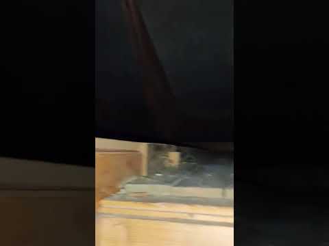 VID 1981-03-16 21:21:36