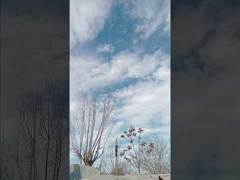 HUMOR RISAS TUNUYAN MENDOZA ARGENTINA