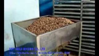 preview picture of video 'CASHEW PEELING MACHINE BY VIET MOLD MACHINE CO , LTD'