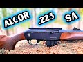 Want A GREAT 223 Semi Auto