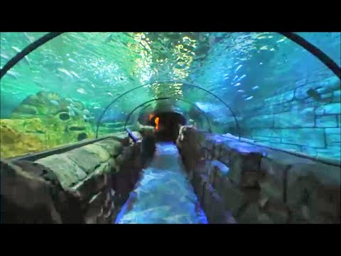 Norman & Foley - Morphine (Original Mix) [Natlife Music]