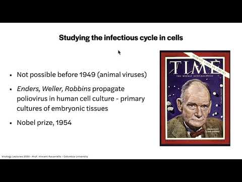 Virology Lectures 2021 #2   The Infectious Cycle