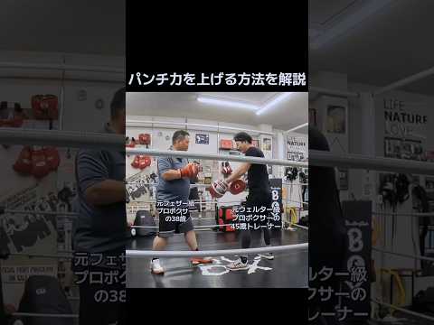 パンチ力を上げる方法を解説