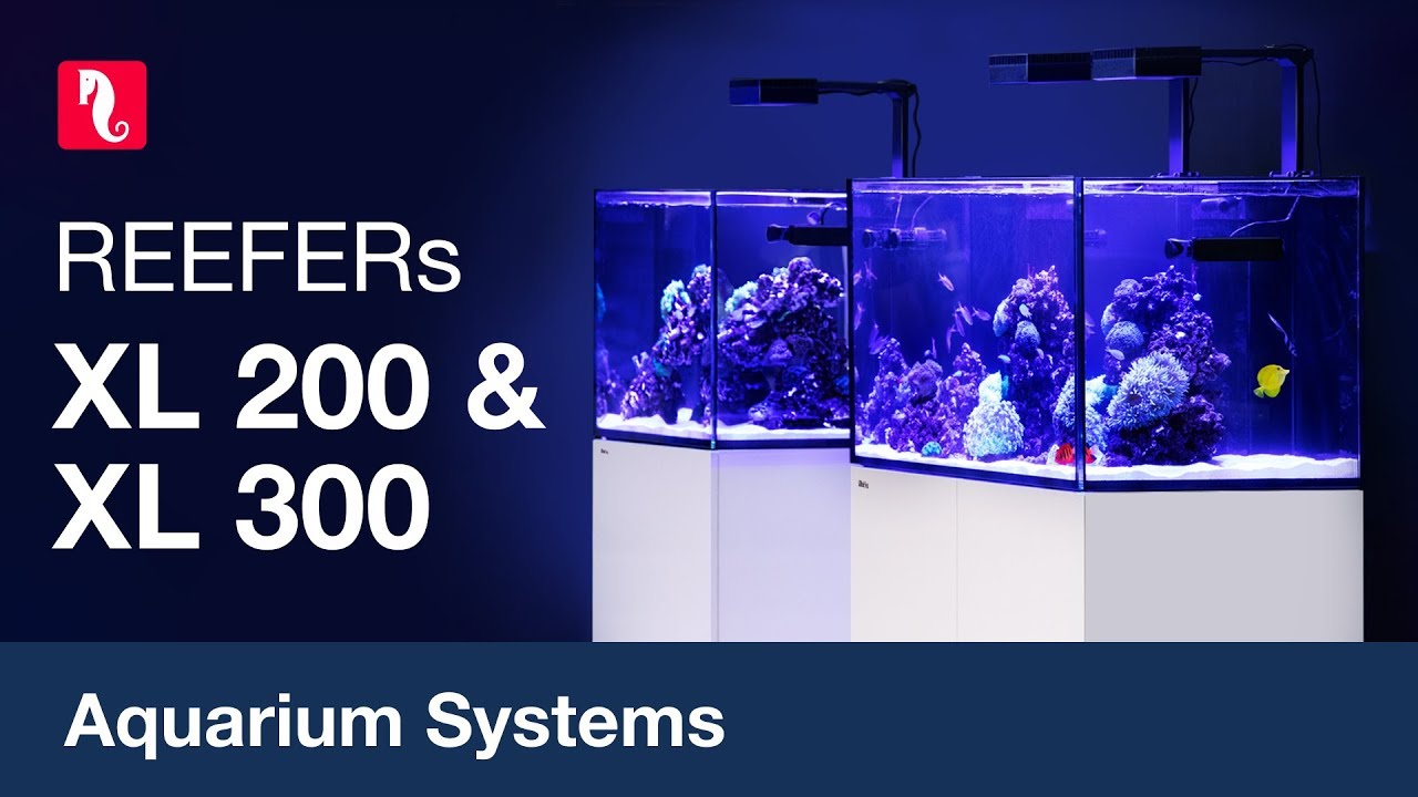 Red Sea Reefer Stones Aquatics Red Sea Reefer Stones Aquatics