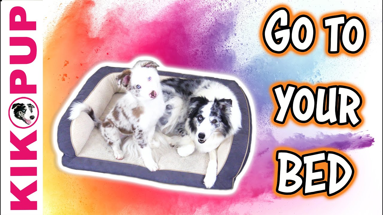 YouTube video preview