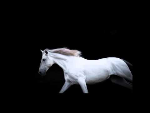 Demircan Demir  · Şahı merdanın avazı