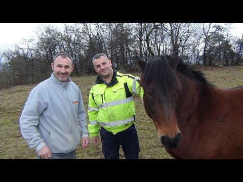 USPJEŠAN TAEKWONDO TRENER , PODUZETNIK I FARMER