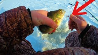 На одной удочке две мормышки