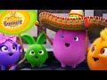 Cartoon Sunny Bunnies Wonder Brush Videos For Kids 2016