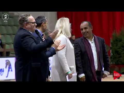 Ecaho European Show 2018 - Championship Opening