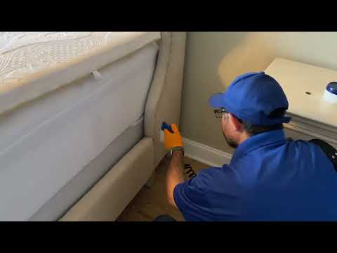 Customer Brings Bed Bugs Back Home in New Egypt, NJ