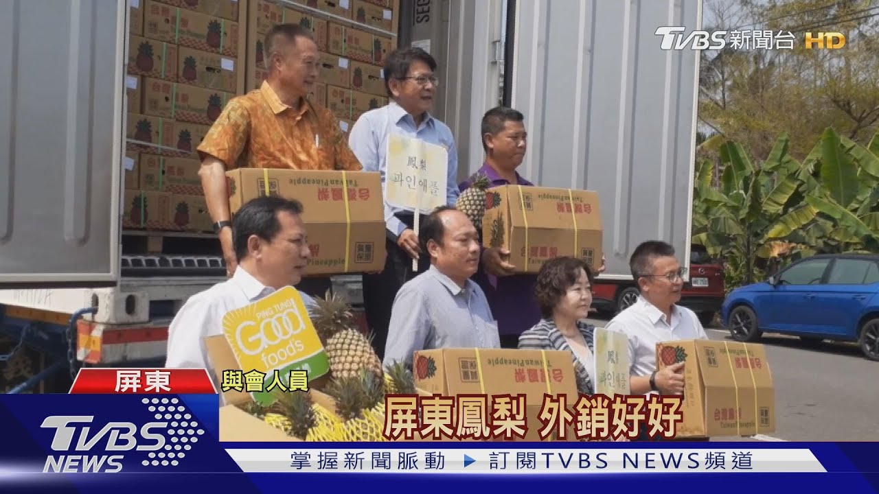 屏東鳳梨進軍韓國! 潘孟安:外銷分流4千公噸