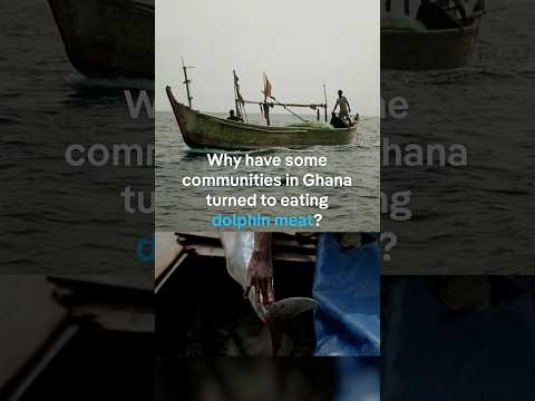 Why Have Some Communities In Ghana Turned To Eating Dolphin Meat? | Dw Documentary