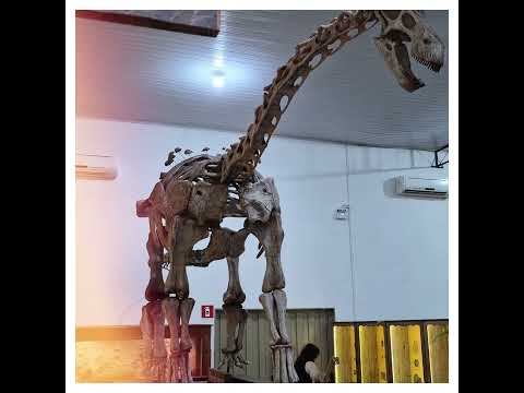 Passeio com a família no museu de Paleontologia de Uchoa-SP.
