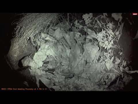 Pods In Space Test Recording 1