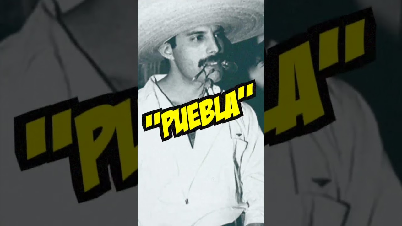 Did Freddie Mercury have a driving Licence? EN General