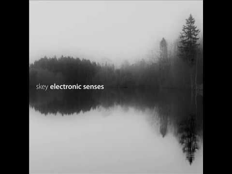 Skey : Electronic Senses [@ 432 Hz]