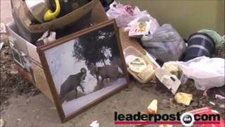 preview picture of video 'Needles picked up in Regina: leaderpost.com'