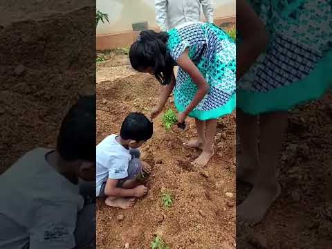 Cultivating Hope: Trishna Sai and Vishwa Teja's Green Revolution 🌿 #plantation #ecofriendly