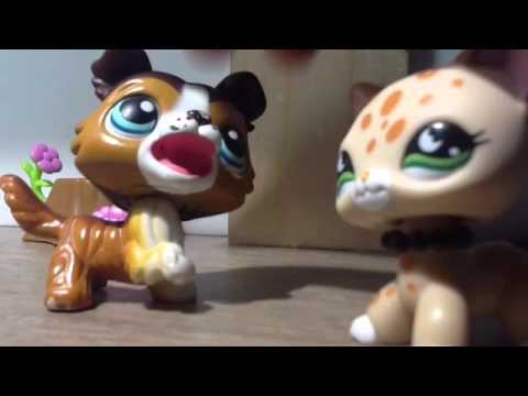 Lps Cinderella part 1