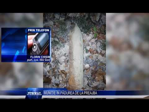 MUNITIE IN PADUREA DE LA PREAJBA