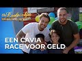 Dave & Donny gaan OPPASSEN op HEEL VEEL kinderen! | De Roelvinkjes #AFL6