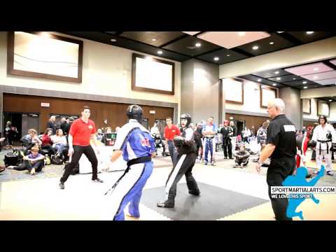 Canadian Open 2015    Men's point sparring