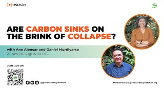Are carbon sinks on the brink of collapse? | #GLFLive