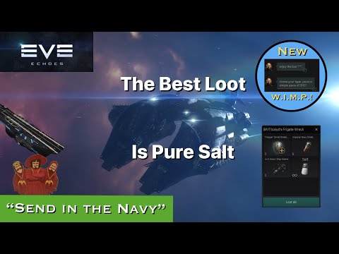 Eve Echoes- Send in the Navy- Megathron Navy PvP