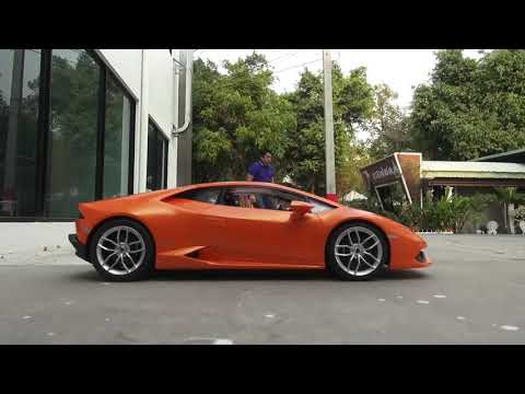 RASTAR valdomas automodelis R/C 1:24 Lamborghini Sian, 97800 video