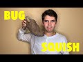 Stepping on bugs - What pests should you step on?