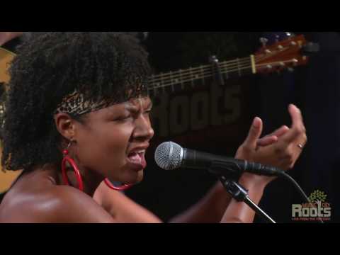 Birds of Chicago "Barley"