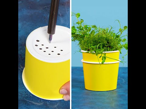 DIY Budget-Friendly Hydroponic System at Home ☘ #shorts #planting #garden #diy #hydroponic