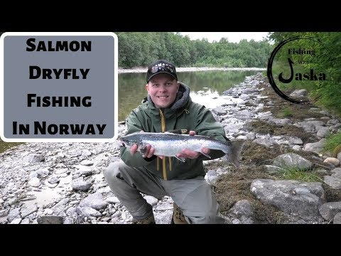 Salmon dryfly fishing in Norway 2019 4k