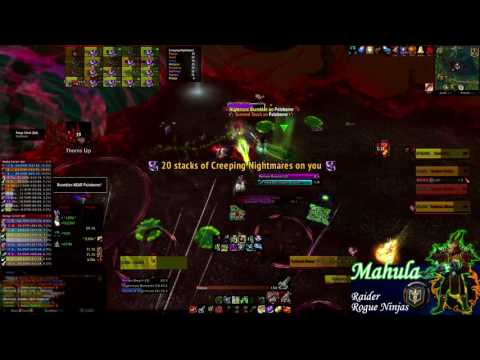 Rogue Ninjas vs. Cenarius Mythic - Hunter PoV