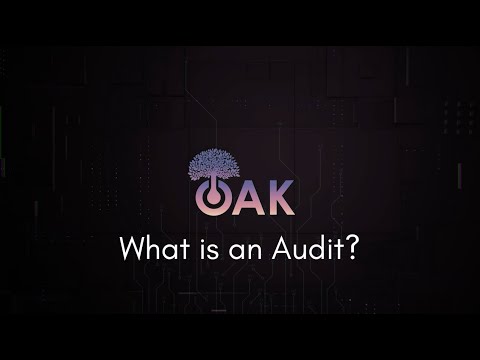 What is an Audit?