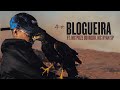 Bielzin Ft MC Poze Do Rodo Ryan SP BLOGUEIRA Prod Portugal No Beat Coelho