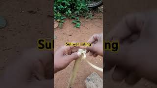 Download lagu Cara membuat Suliwer suling, #diy #creatip#sipul #sulingbambu mp3