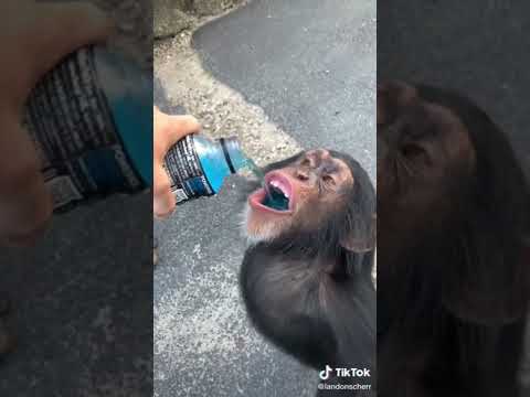 Life could be a dream