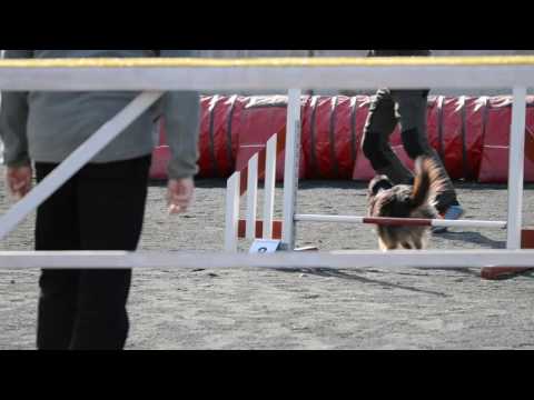 Rukan Roihurallit (5)