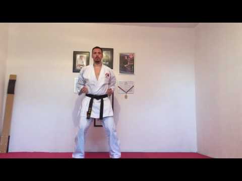 SHIHAN BOZIDAR Z. PURIC 5th DAN - GOSOKU RYU KARATE DO - NI NO KATA