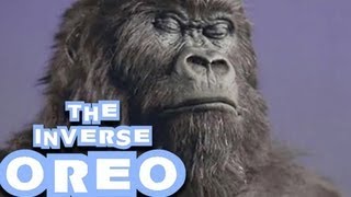 In The Air Tonight - Phil Collins (Live Cover with Gorilla) The Inverse Oreo