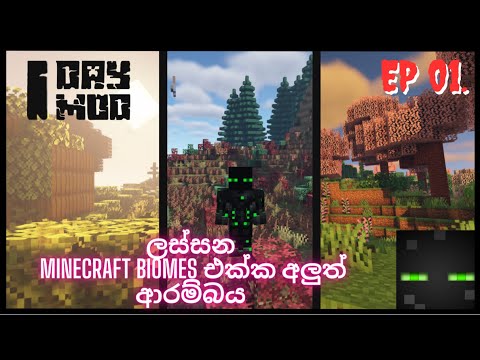 Exploring Stunning Minecraft Biomes |  1 Day 1 Mod EP 01