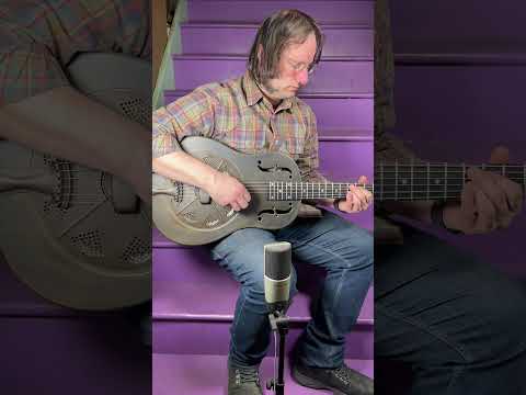 2014 National NRP Steel 12-Fret Resonator Guitar (VIDEO! Fresh Work, Ready) image 20