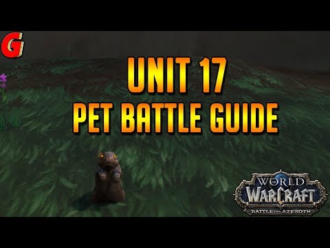 Unit 17 Pet Battle Guide - BFA