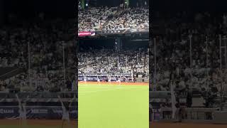 【CT AMAZE】日本VS台湾@台北大巨蛋20241116 #台湾チア #cheerdance #cheerleading #amaze #啦啦隊 #premier12 #teamtaiwan