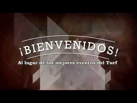 MANSITO 8 07 2018 HIP  EL QUEBRACHAL VIDEO DE CHEPES TURF